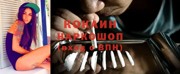 гашик Гусь-Хрустальный