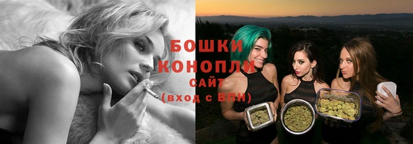 гашик Гусь-Хрустальный