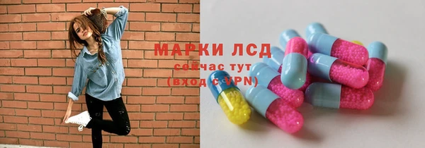 гашик Гусь-Хрустальный