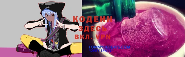 гашик Гусь-Хрустальный