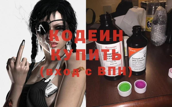 гашик Гусь-Хрустальный