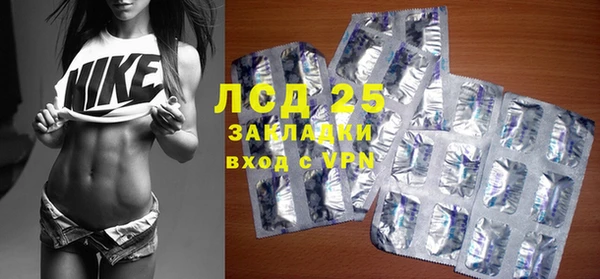 гашик Гусь-Хрустальный