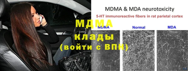 гашик Гусь-Хрустальный