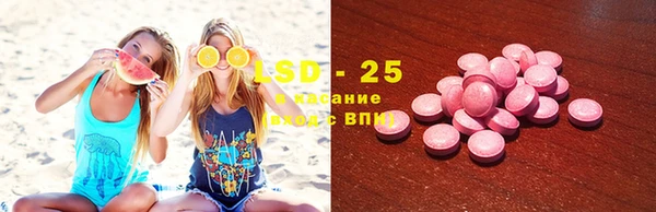 a pvp Гусев